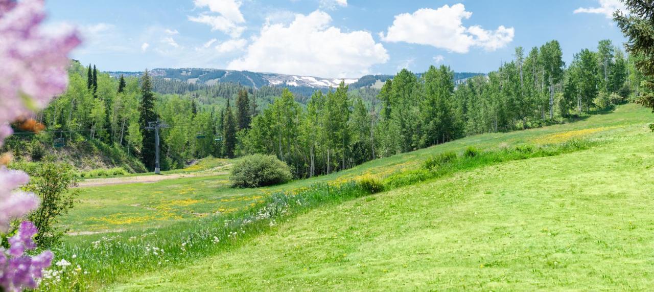 Laurelwood Condominiums 307 Snowmass Village Exteriör bild